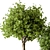 Urban Oasis Tree & Bush 3D model small image 5