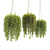 3D Hanging Basket Plants Collection 3D model small image 3