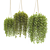 3D Hanging Basket Plants Collection 3D model small image 4