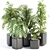  Rare Indoor Plants Collection Vol. 181 3D model small image 1