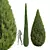 Cypress Juniperus 3D Plant Models 3D model small image 1