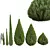 Cypress Juniperus 3D Plant Models 3D model small image 2