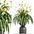 Botanica Set: Lush Indoor Greenery 3D model small image 4