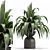 Botanica Set: Lush Indoor Greenery 3D model small image 6