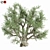 Premium Olive Tree Model 2016 3D model small image 3