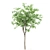 Forest Green 3D Tree Model 3D model small image 3