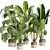 Premium Indoor Plant Collection Vol.452 3D model small image 1