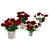 Red Rose Vases Set Beauty 3D model small image 4