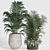 Modern Indoor Plant Set Collection 3D model small image 3