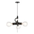 Satin Black Pendant Light Fixture 3D model small image 1