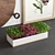 Mini Herb Garden Decor Set 3D model small image 2