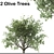 Mediterranean Olive Tree Set 3D model small image 1