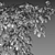 Complete 3D Clematis Plant Collection 3D model small image 4