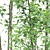 Forest Greenery 3D Tree Model 3D model small image 2