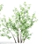 Forest Greenery 3D Tree Model 3D model small image 3