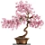 Blooming Bonsai Spring Flowers 3D model small image 2