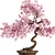 Blooming Bonsai Spring Flowers 3D model small image 4