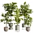 Ficus Lyrata Set in Concrete 3D model small image 1