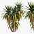 Tropical Palm Tree 3D Model 3D model small image 1