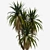 Tropical Palm Tree 3D Model 3D model small image 2