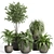 Modern Indoor Plant Set with Dark Concrete Pot 3D model small image 1