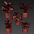 Modern Calathea Leaf Indoor Plant 3D model small image 6