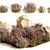 Lavender Bush Collection for Landscaping 3D model small image 2