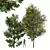 Lush 3D Tree Models Bundle 3D model small image 1