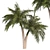 Tropical Palm Tree 3D Model 3D model small image 1