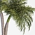 Tropical Palm Tree 3D Model 3D model small image 3