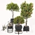 Fruit Tree Plant Collection Set 3D model small image 1