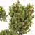 Fruit Tree Plant Collection Set 3D model small image 4