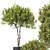 Fruit Tree Plant Collection Set 3D model small image 11