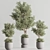 Modern Vray Indoor Plant Set 3D model small image 3