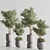 Modern Vray Indoor Plant Set 3D model small image 4