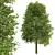 Eco-Friendly 2Trees Shingle Oak 3D model small image 2