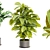 High-Quality Collection Plant Models 3D model small image 5