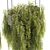 High-Quality Hanging Plant Model 3D model small image 3