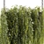 High-Quality Hanging Plant Model 3D model small image 5