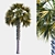 Tropical Palm Tree 3D Model 3D model small image 1