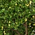 Fruit Tree Lemon Apple Plants 3D model small image 2