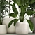 Tropic Exotic Plant Set 3D model small image 6