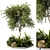 Outdoor Plant 219 3D Model 3D model small image 1