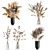 White Dry Flower Bouquet Set 3D model small image 1