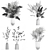 White Dry Flower Bouquet Set 3D model small image 6