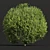 Dual Bonsai 3D Models Set 3D model small image 2