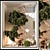 Modern Indoor Plant 3D Model 3D model small image 1