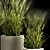 Spikelet Wheat Decor Collection 3D model small image 4