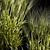 Spikelet Wheat Decor Collection 3D model small image 5