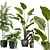 Exotic Indoor Plants Selection Pack 3D model small image 2